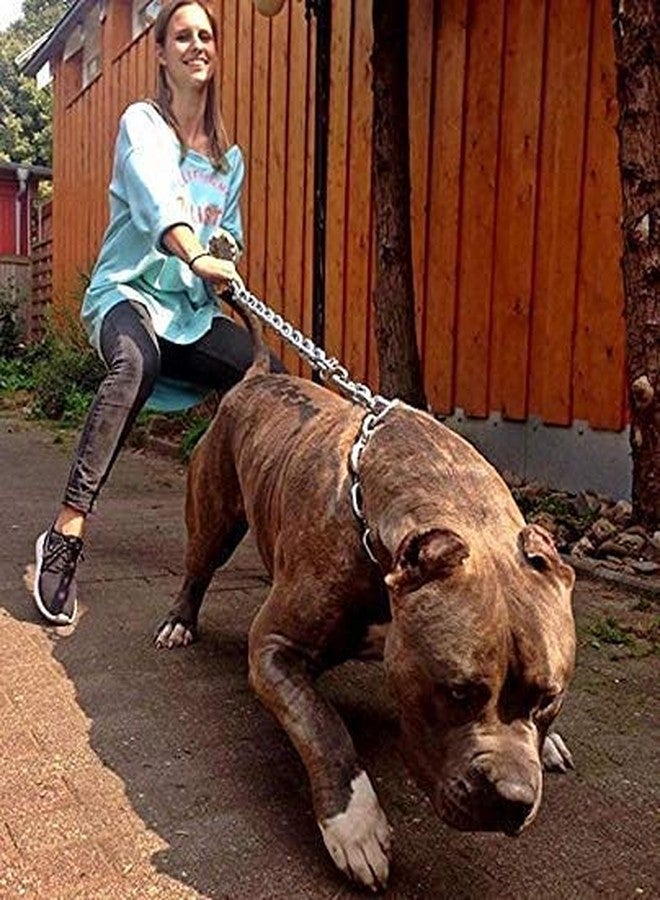 Pups&Pets Dogs Diamond Cut Grind no 6 Chain | Brass Hook Heavy Duty Chain Leash | Durable Chain Leash for Dog (X-Large) - Image 1